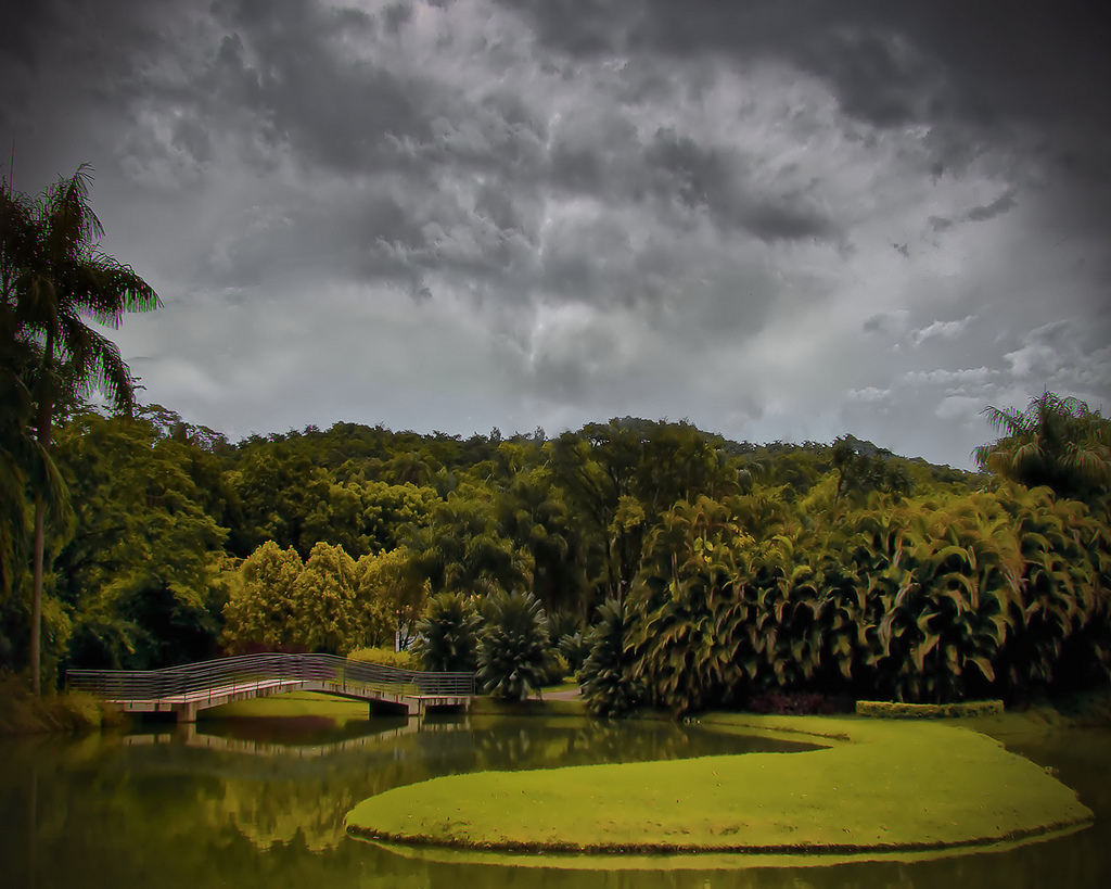 Lake in black and white